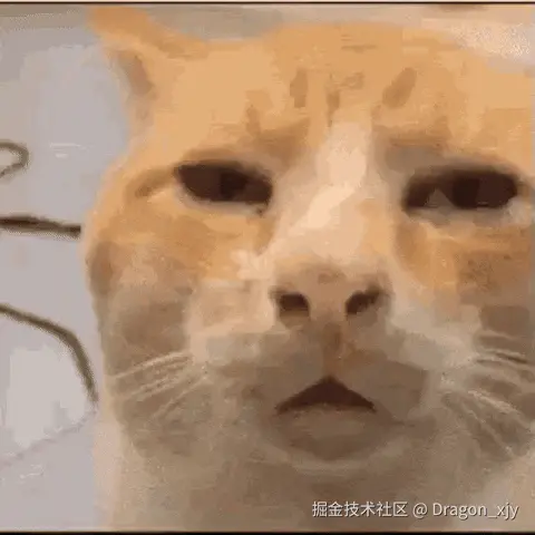 猫meme-啥？_爱给网_aigei_com.gif