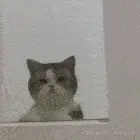 1719632699327.gif