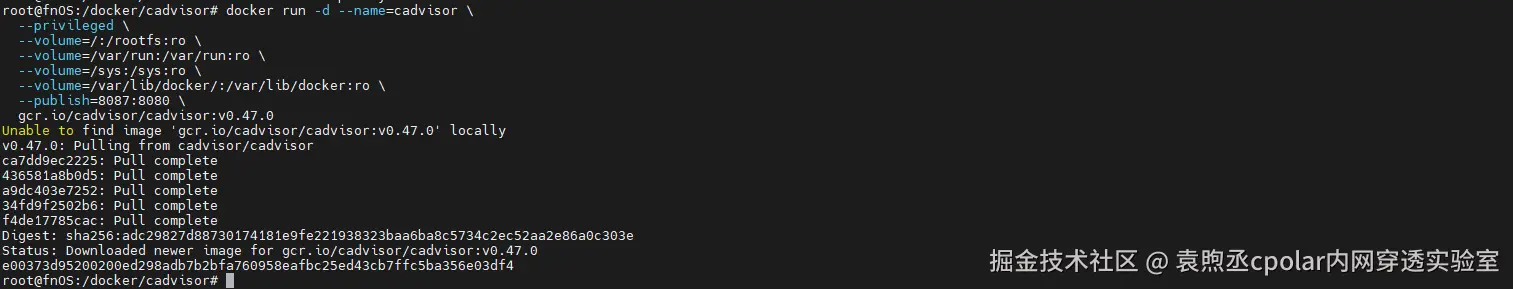 image-20260403113538926