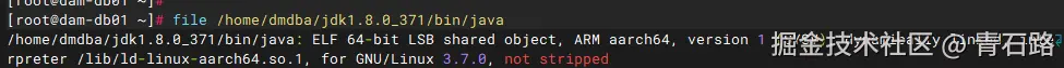 jdk1.8.0_371架构