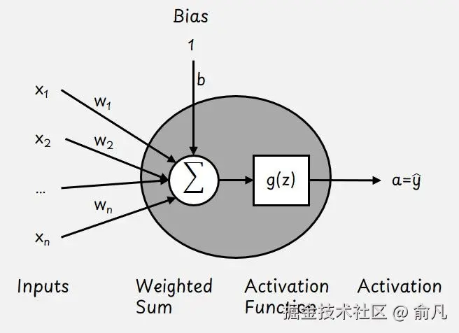 神经元基于权重和偏置参数通过输入计算加权和，结果通过激活函数传递。神经元的输出被称为激活（activation）。