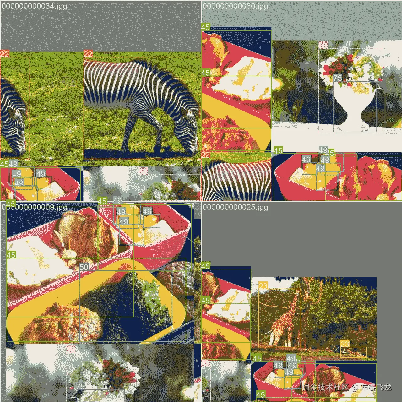 数据集样本图像