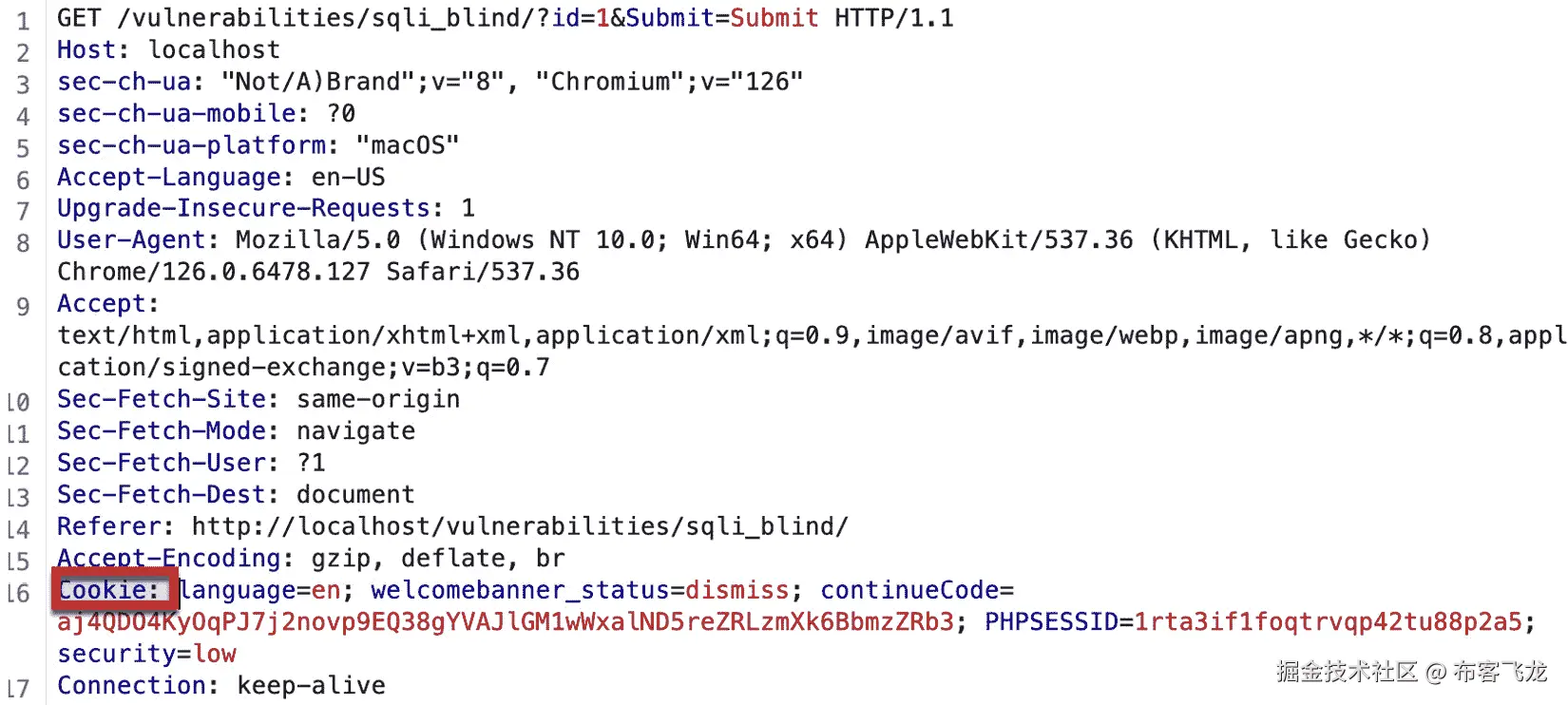 图 9.5 – Cookie 头被高亮显示以强调重点