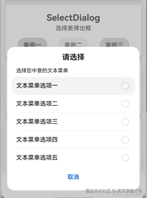 SelectDialog