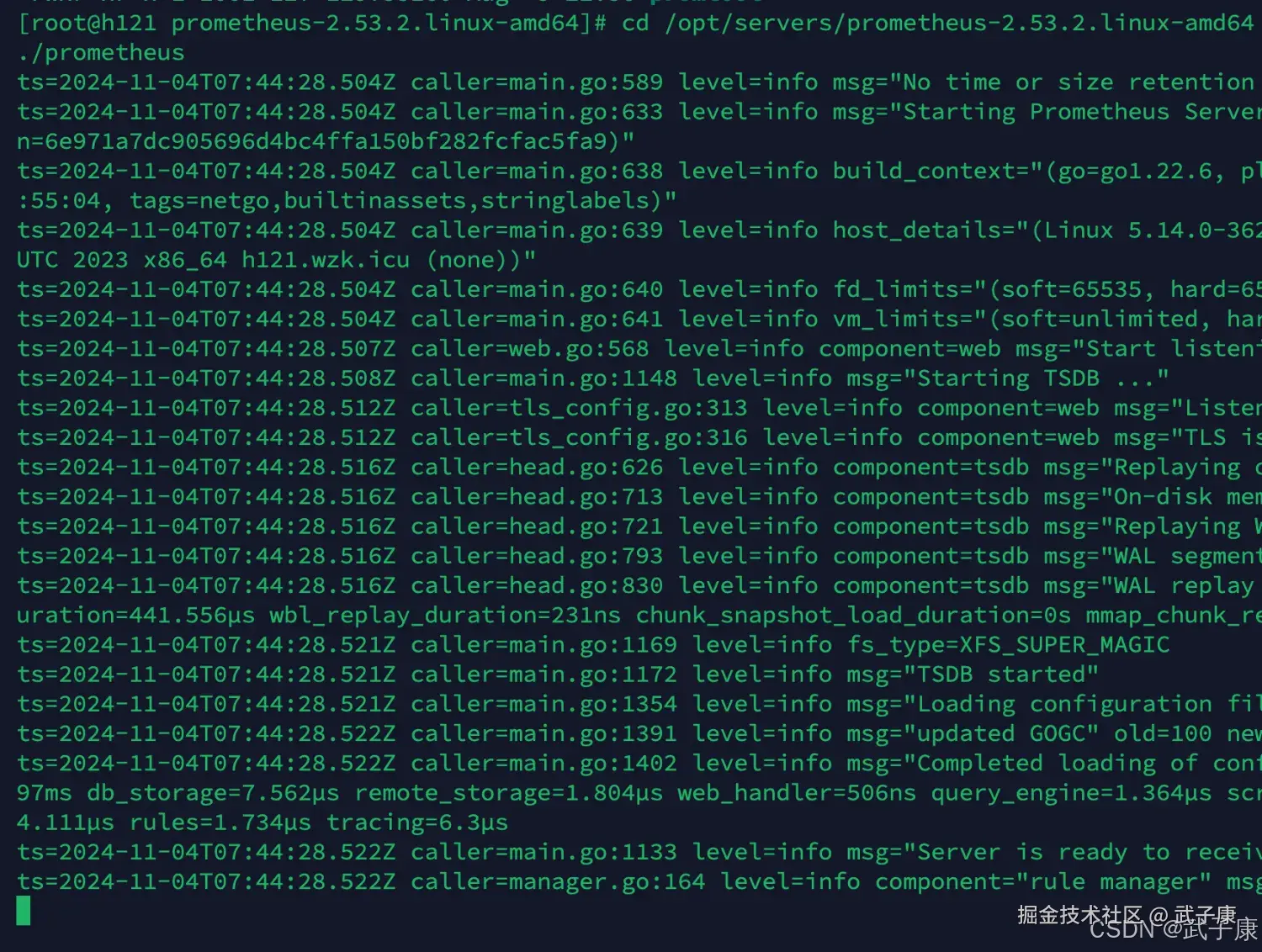 启动 Prometheus 服务