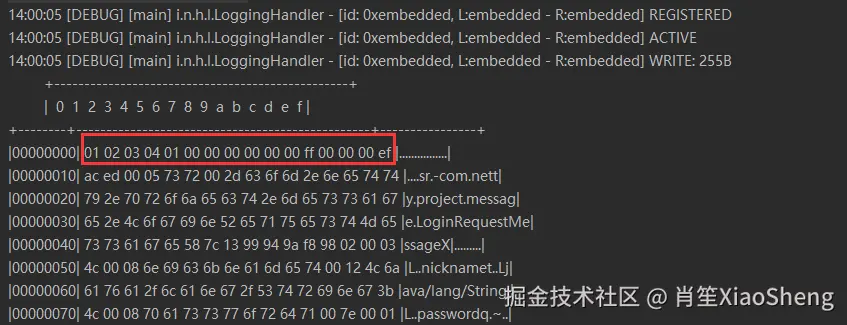 image-20240810193119081