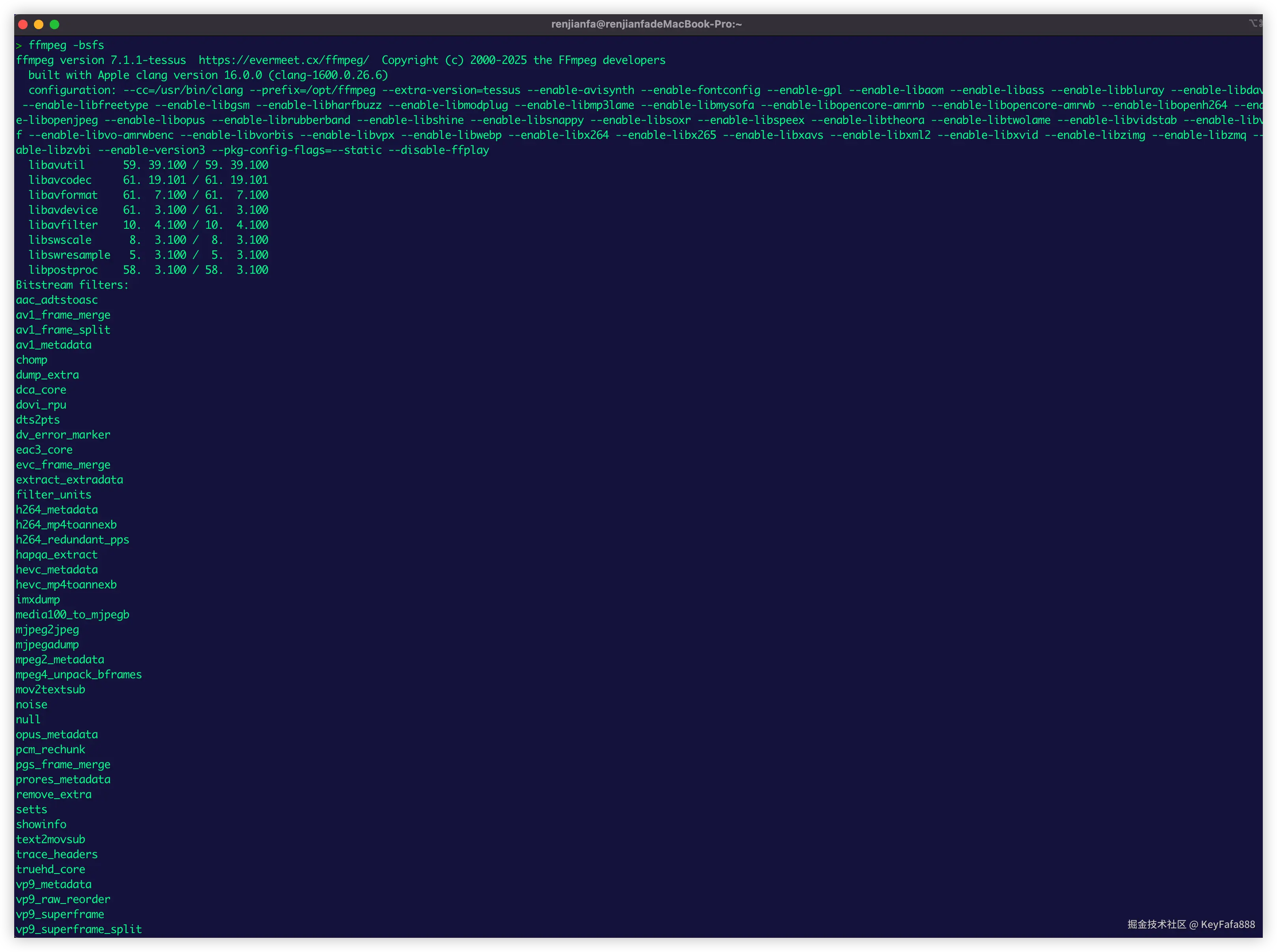 查看 FFmpeg 显示可用的比特流
