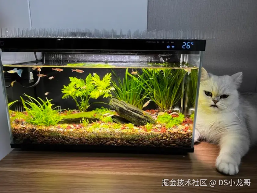 image-20240816114813729