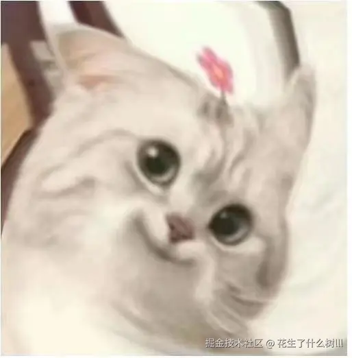 chrome_cat.jpg