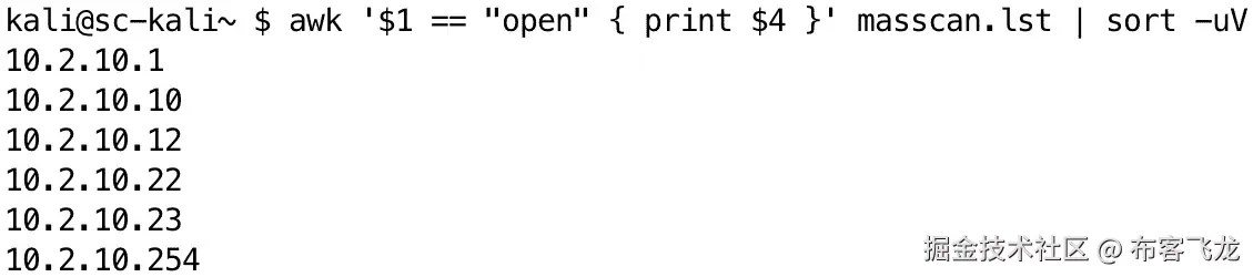 图 10.9 – 我们唯一的已排序活跃 IP 地址列表