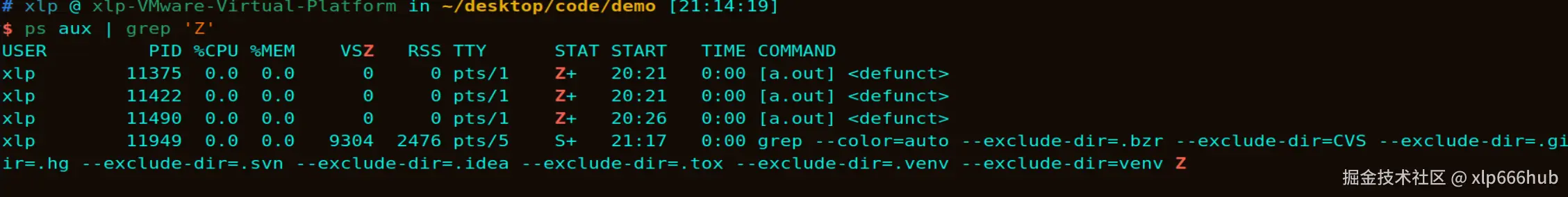 10. 僵尸进程（3）.png