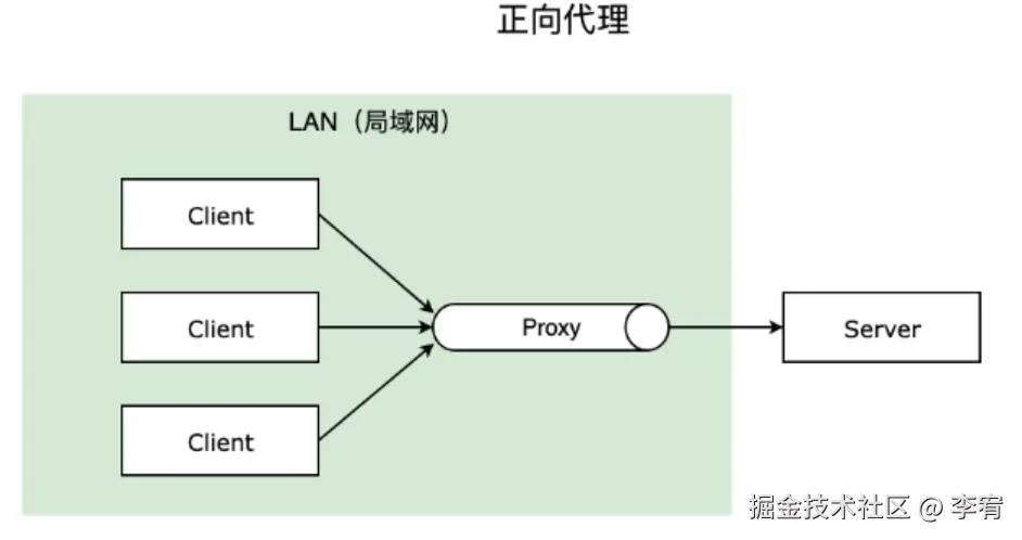 image-20240923090315741