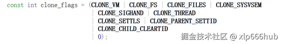 6. flags结构体.png