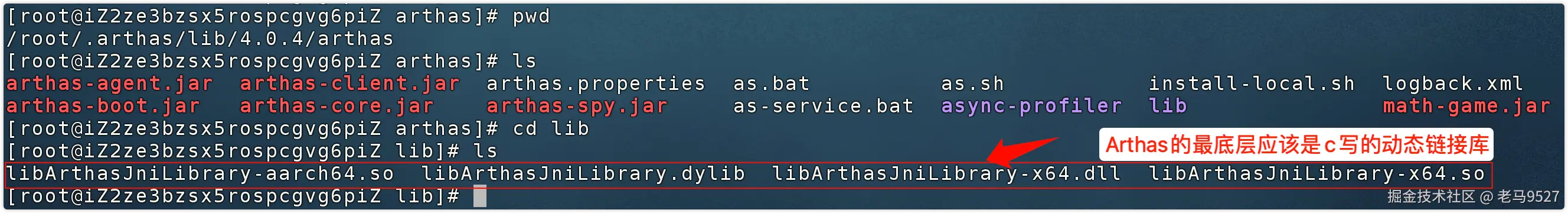 image-20250121090025005