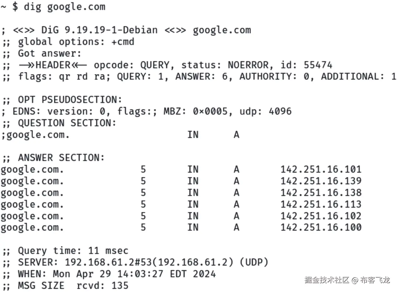 图 6.9 – 使用 dig 命令的演示