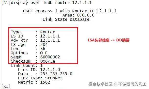 LSA头部信息.png