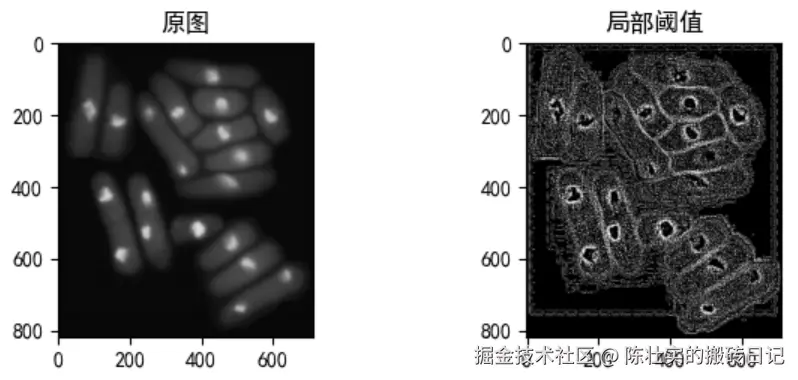 image-20220506115438526