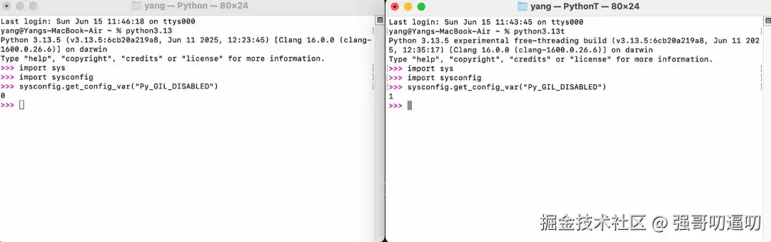 终端中标准和非 GIL Python 的比较