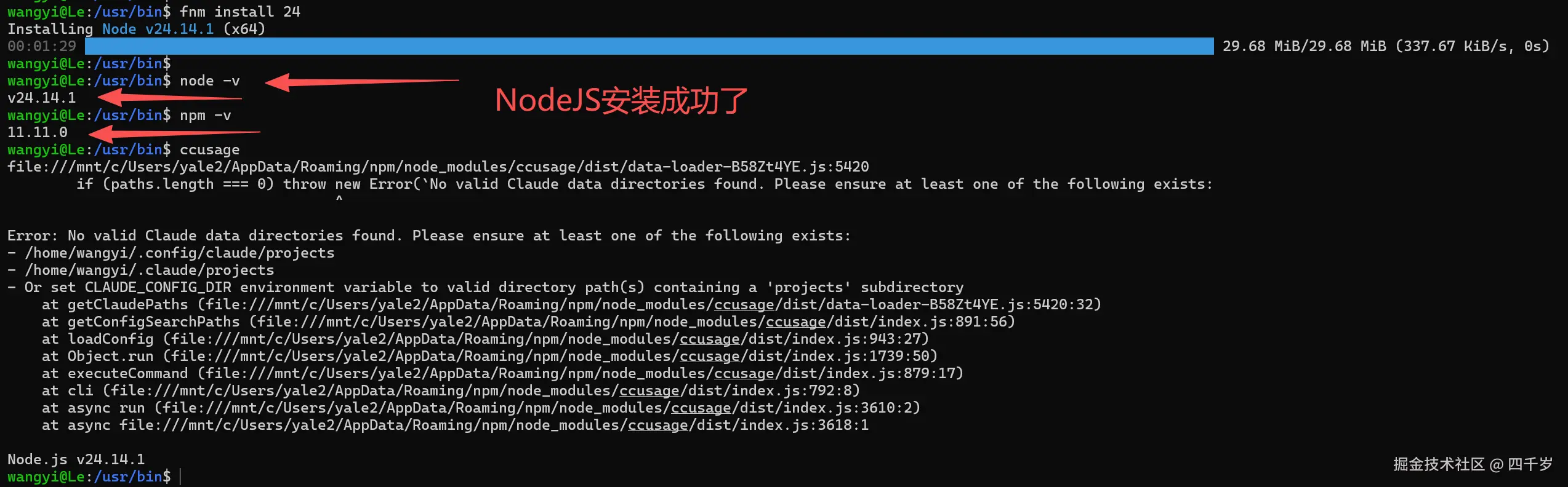 NodeJS 安装成功了