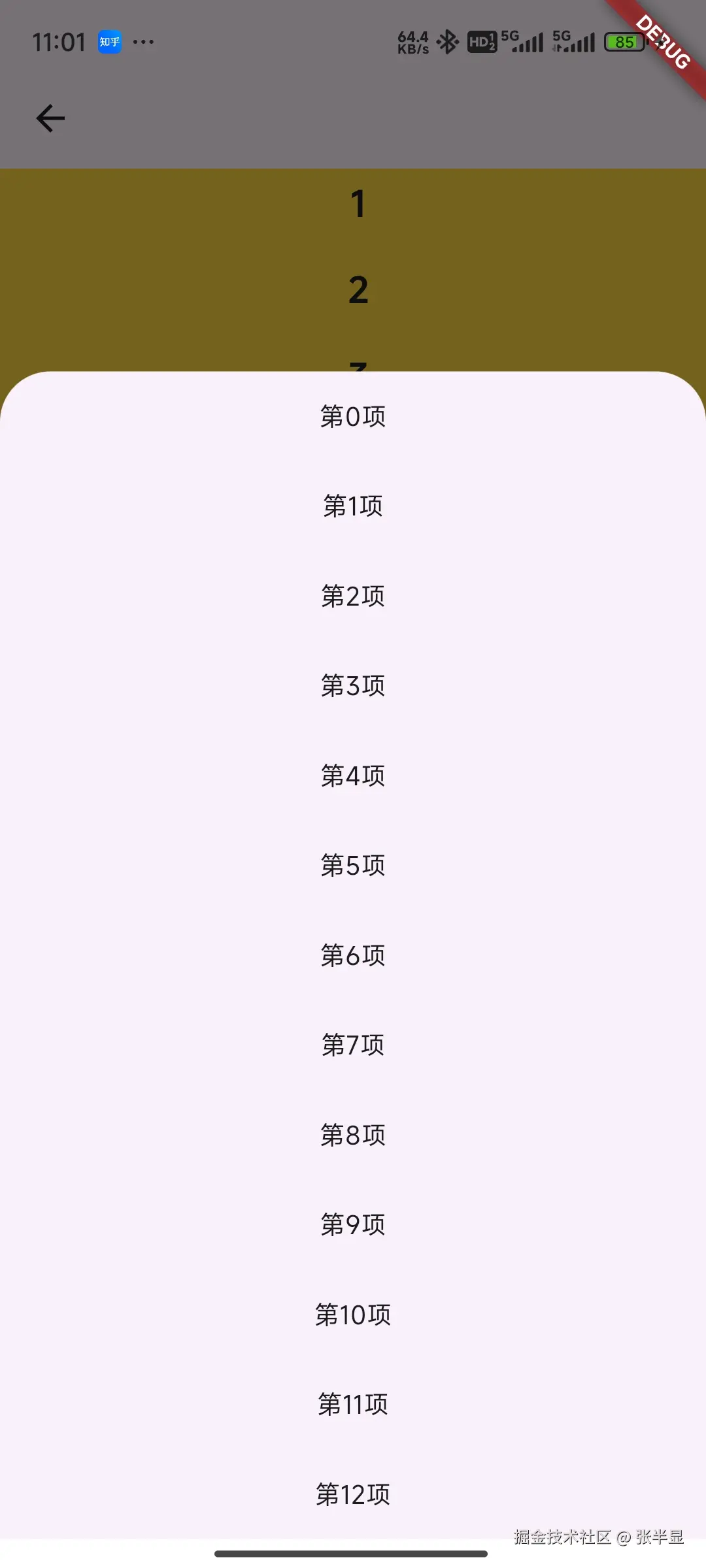 Screenshot_2024-08-22-11-01-51-576_com.example.flutter_listview_demo.jpg