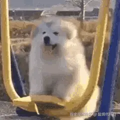 4.gif