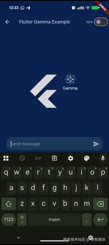 flutter\_gemma 示例中的函数调用