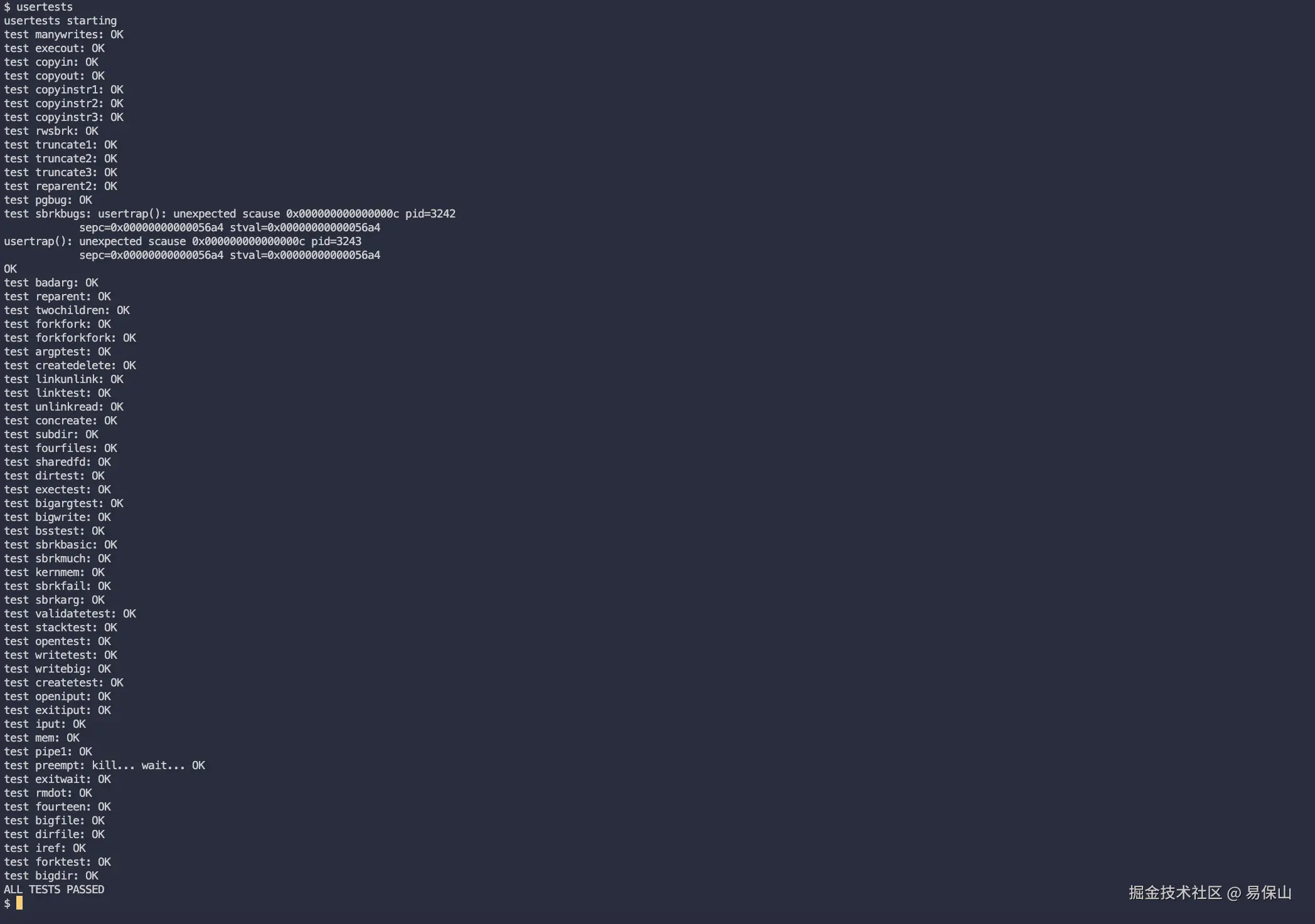 xv6-lab10-usertests.png