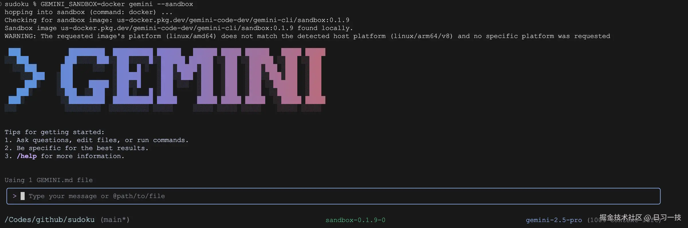 gemini-cli-sandbox.png
