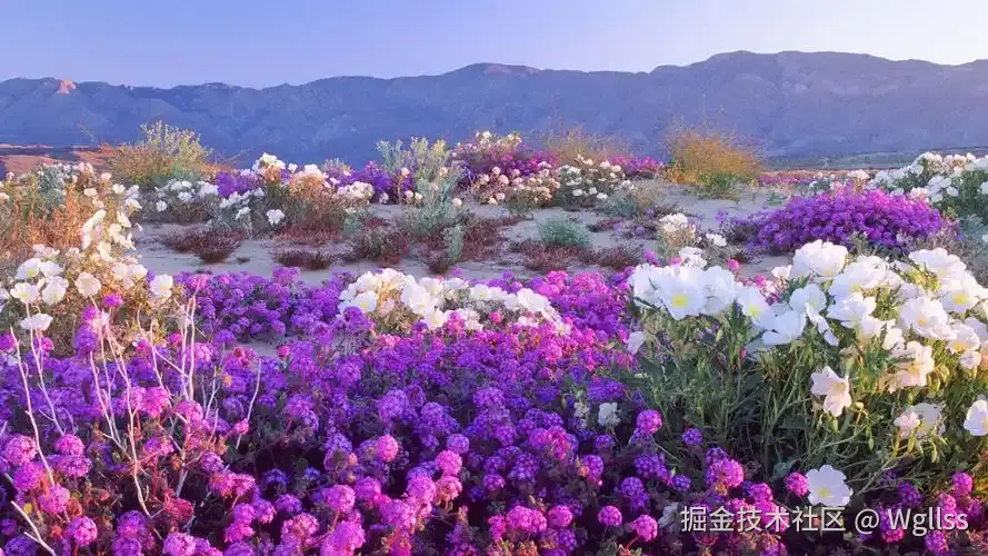 u=657810,1869528674&fm=253&fmt=auto&app=138&f=JPEG.webp