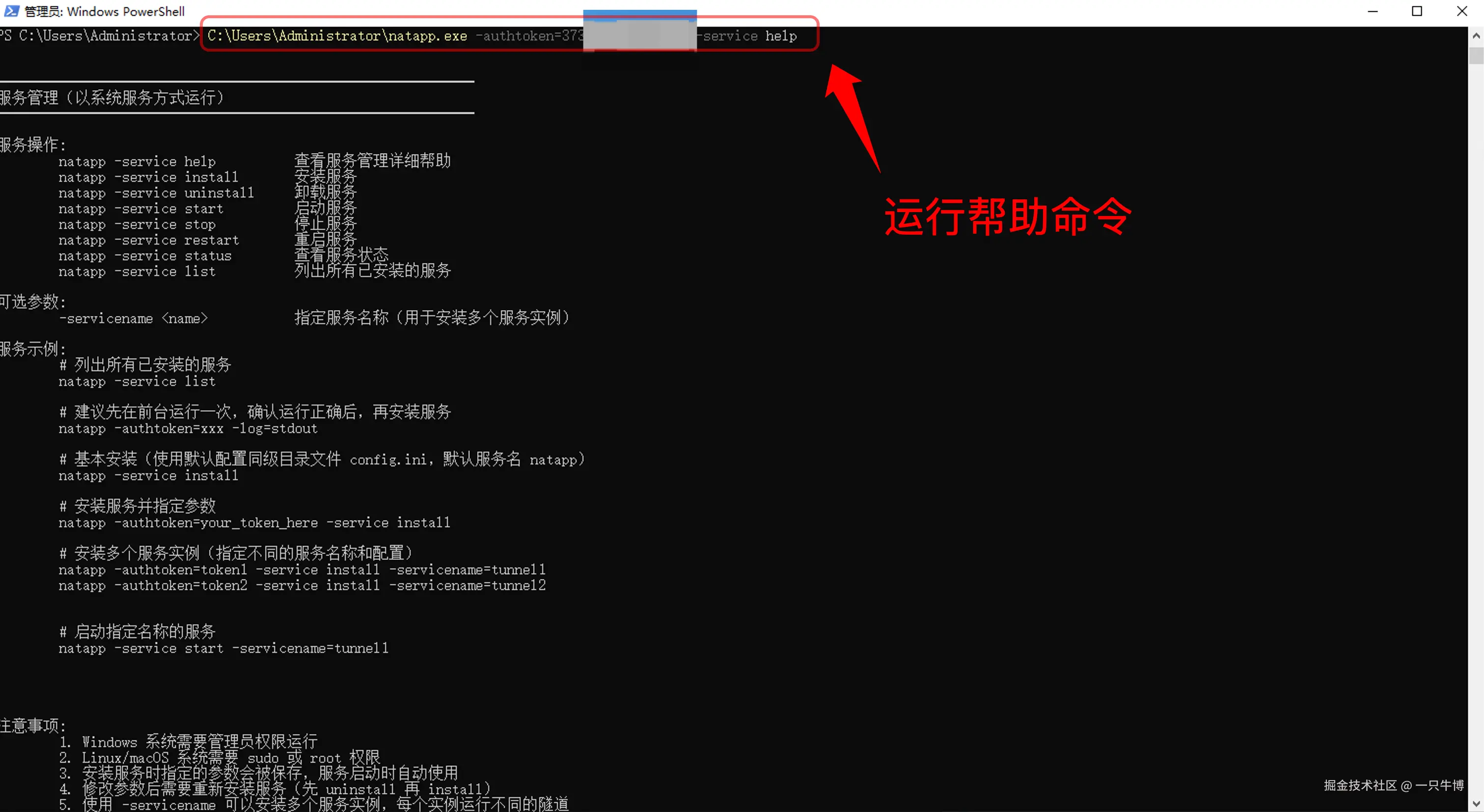View Natapp's system service management parameters