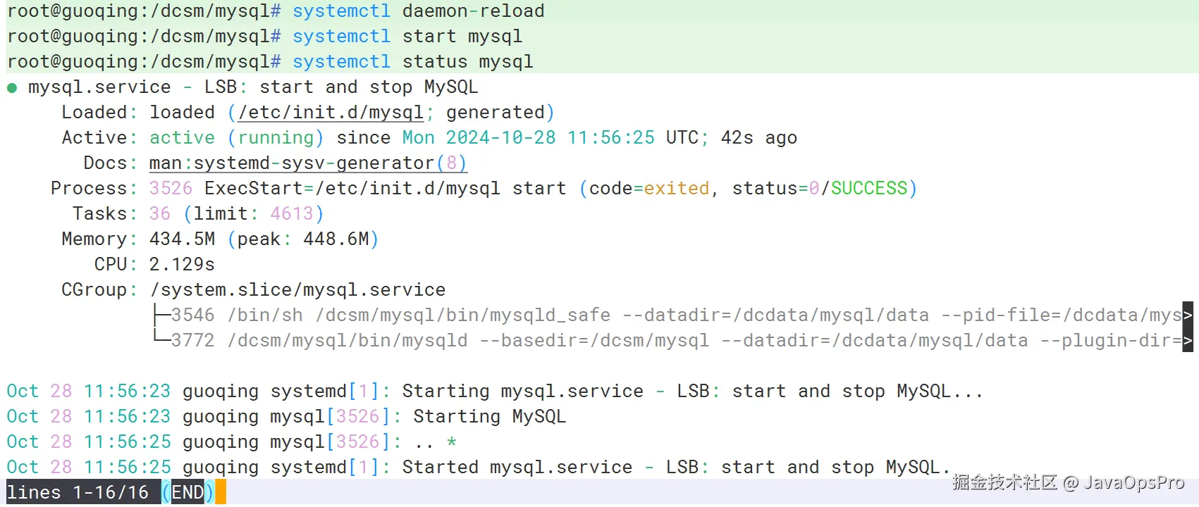 image-20241028195723970