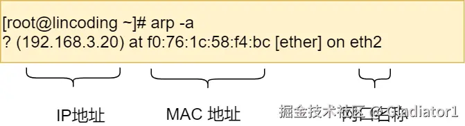ARP 缓存内容