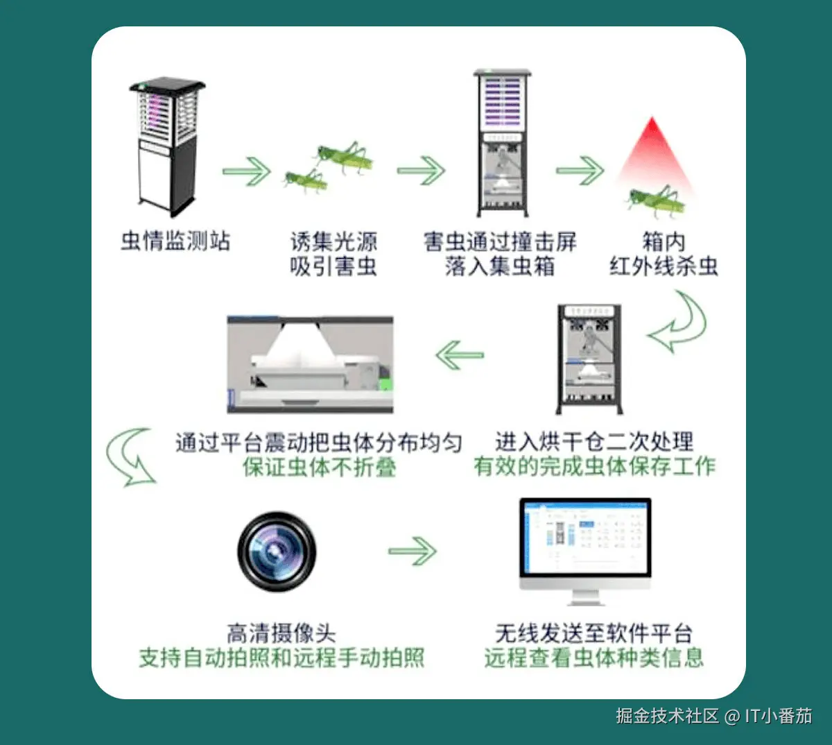 AI病虫害实时识别
