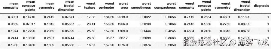 图 5.29：前五行数据