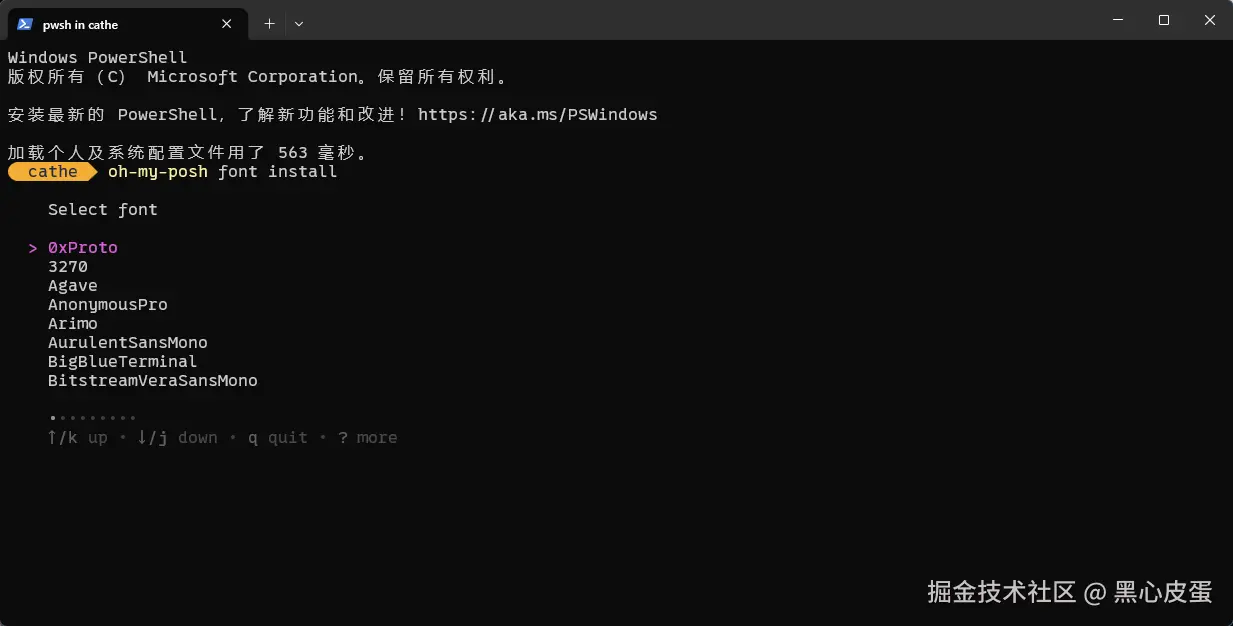 image-20250409220029727