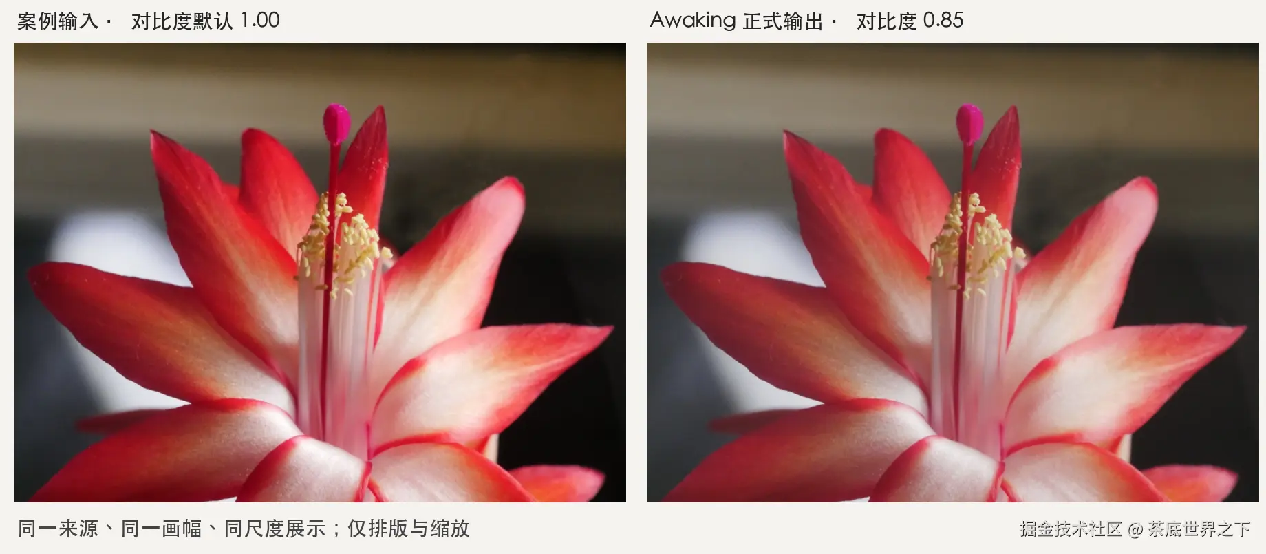 同一输入与 Awaking 对比度 0.85 正式输出，同尺度展示