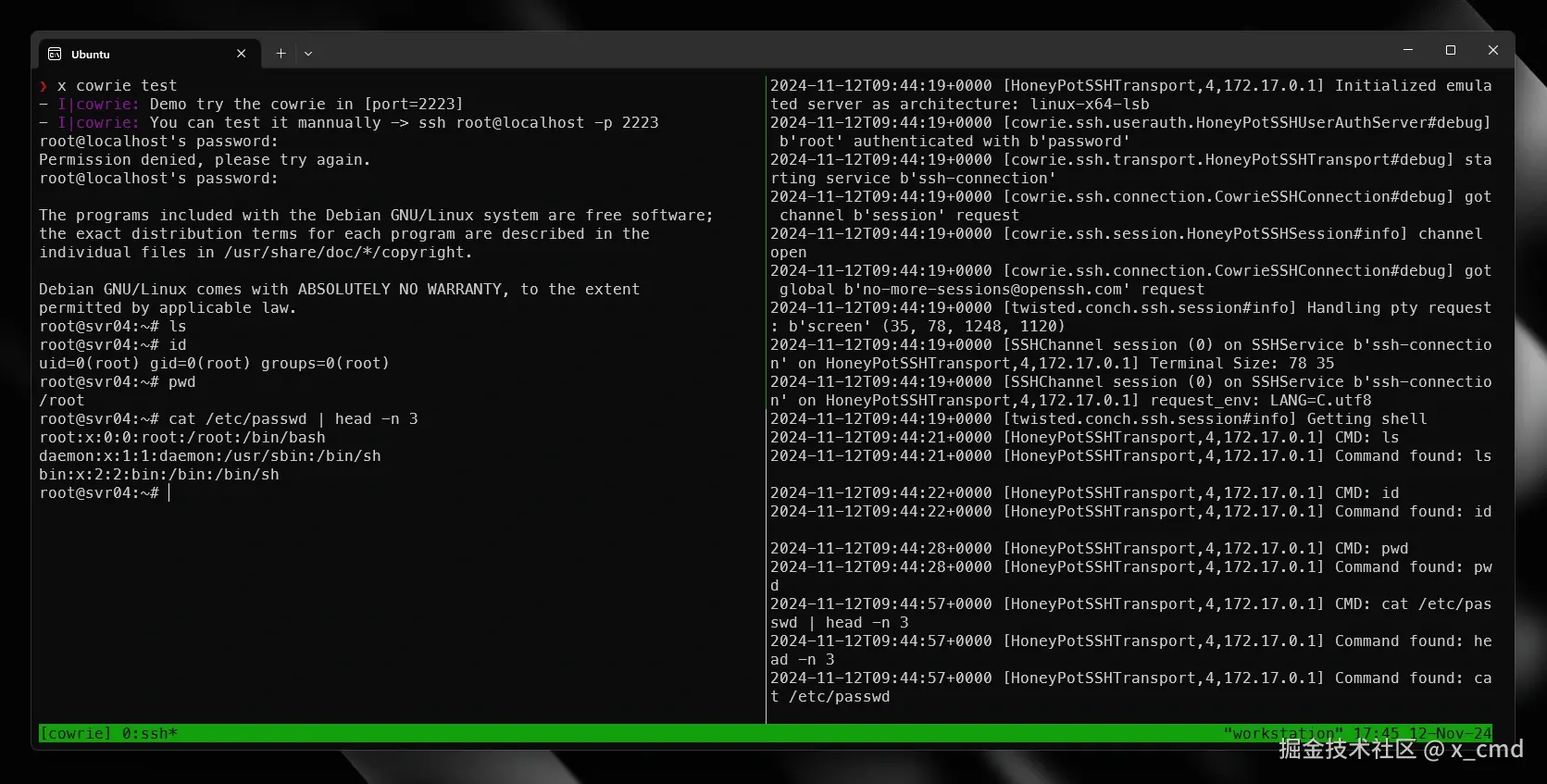 cowrie.webp