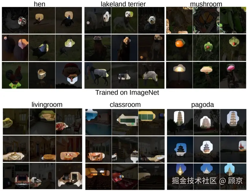 pic3 sth are important to the classification.png