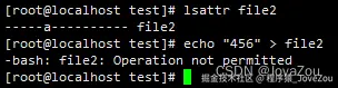 无法通过echo覆盖带有隐藏属性a的file2