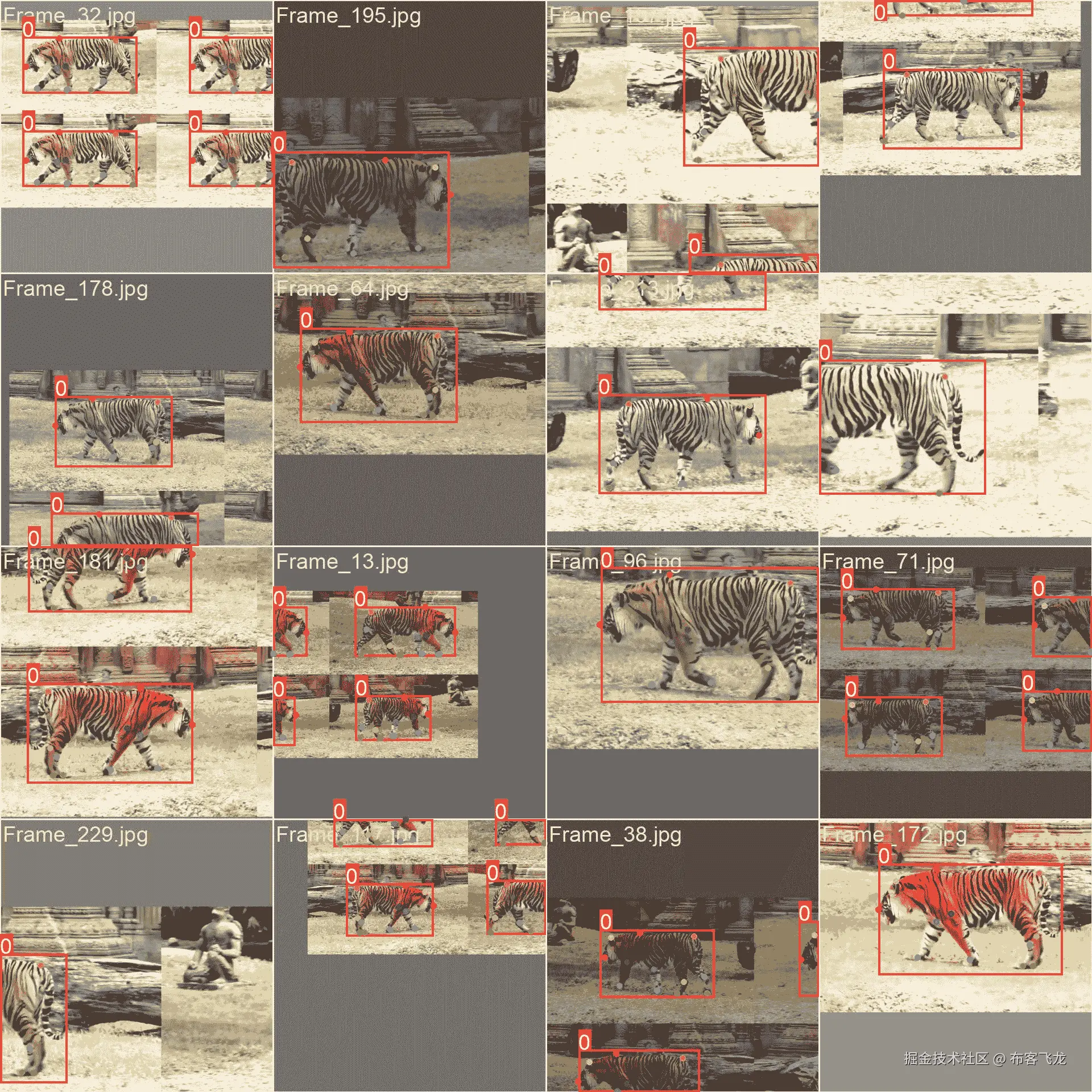 数据集示例图像