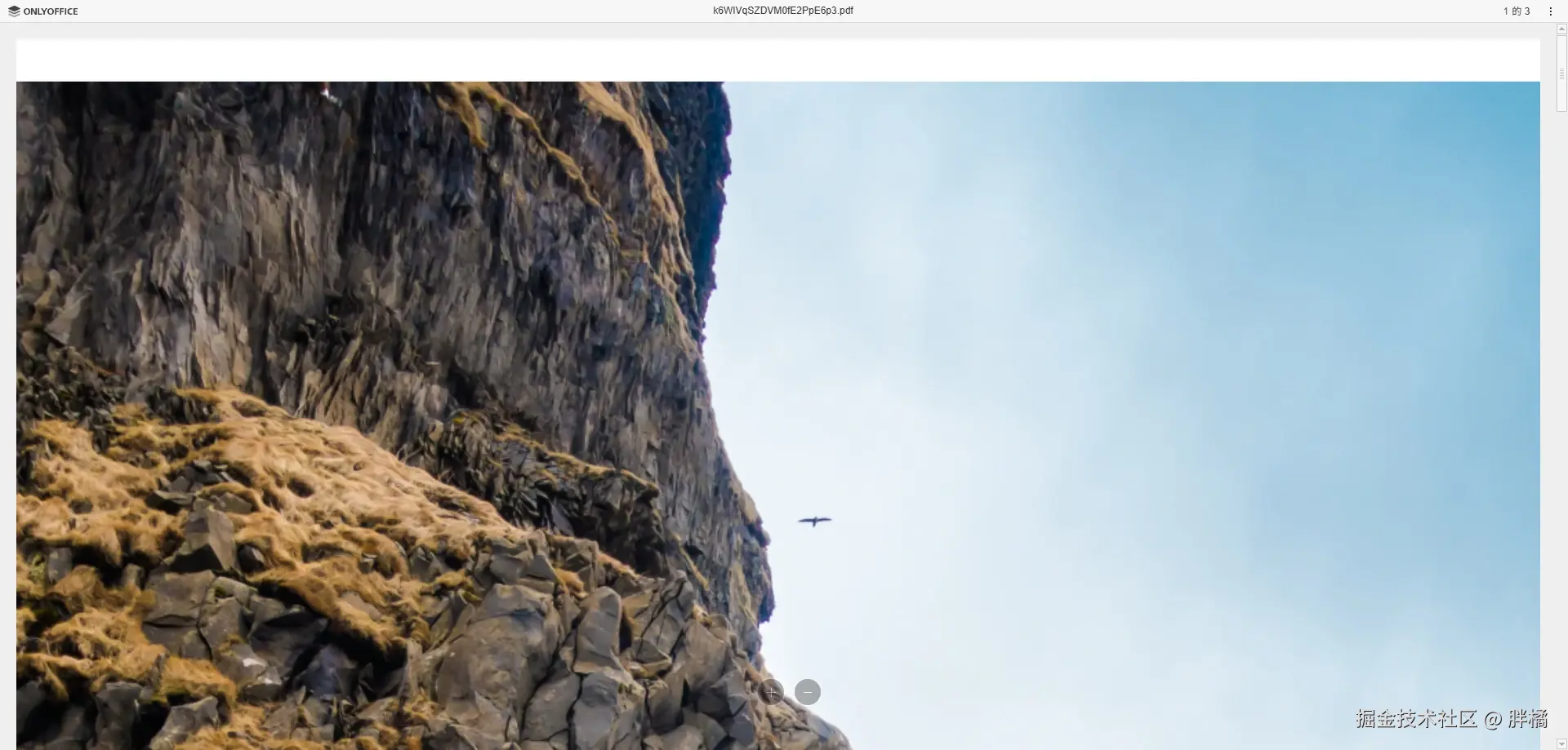 pdf-viewer-onlyoffice.webp