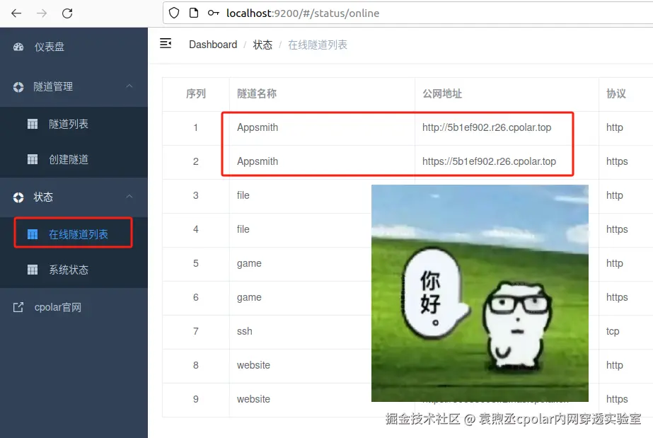 image-20250401132950818