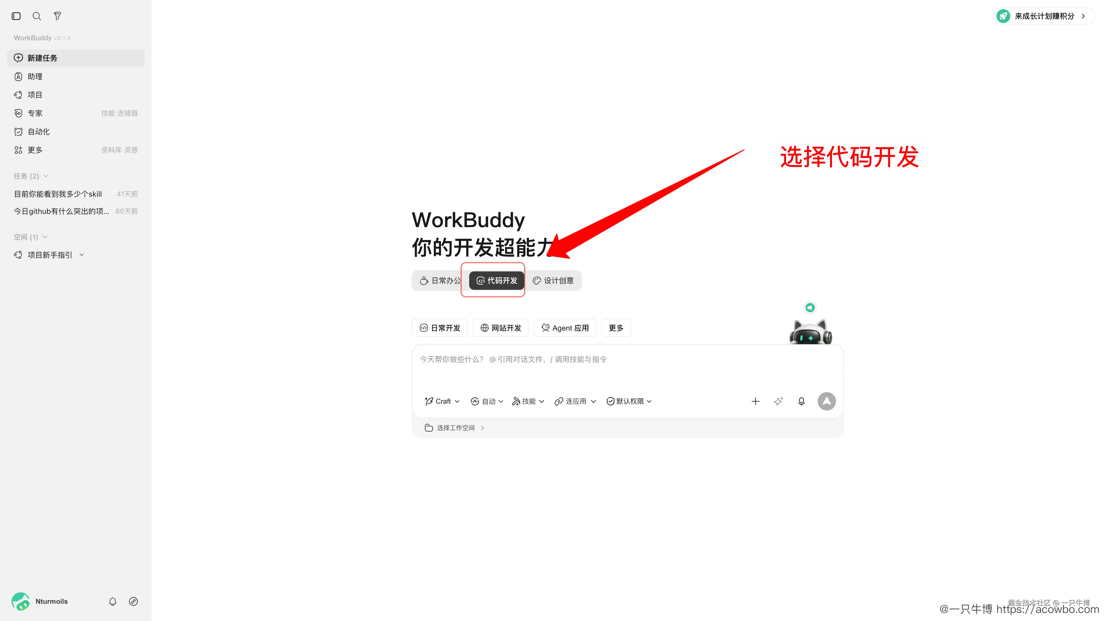 选择代码开发