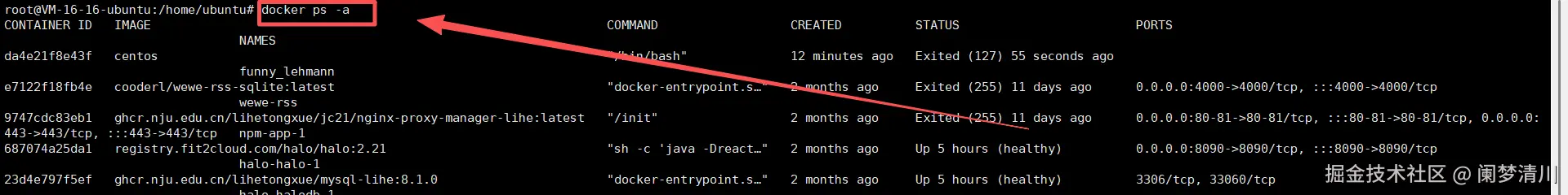 image-20251015211059040