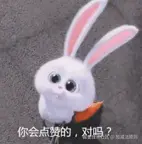 屏幕截图 2025-01-03 231939.png