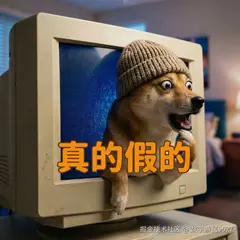 真的假的.png