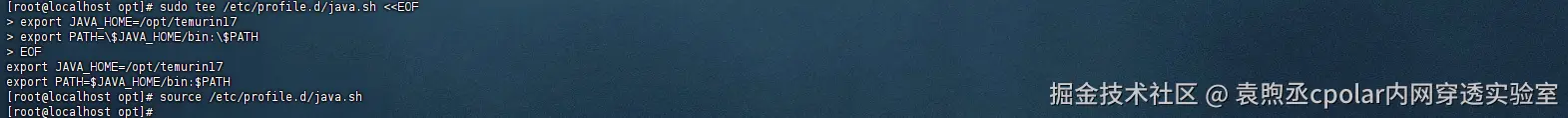image-20250804145922288