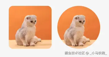 效果图
